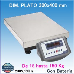 BASCULA ACCUREX RXT S GRAM